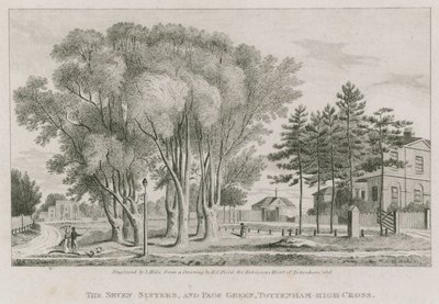 The Seven Sisters and Page Green, Tottenham High-Cross, London by English School