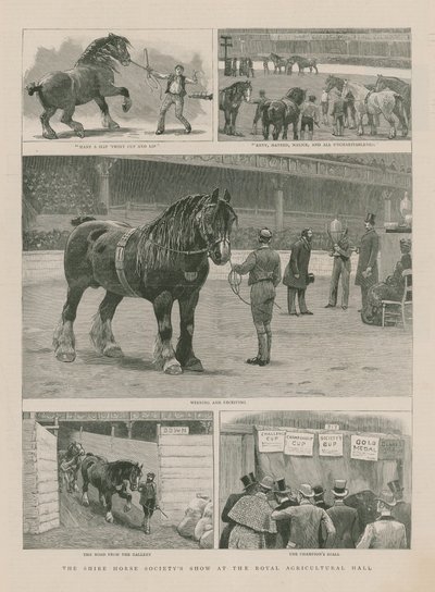 The Shire Horse Societys Show at the Royal Agricultural Hall by English School