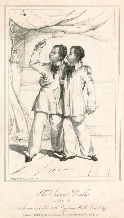 The Siamese Youths (Aged 18), a New Exhibit at the Egyptian Hall, Piccadilly by English School