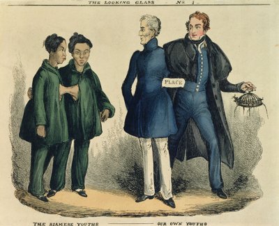 The Siamese Youths - Our Own Youths, satirical cartoon from The Looking Glass, c.1829 by English School