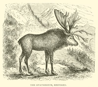 The Sivatherium, Restored by English School