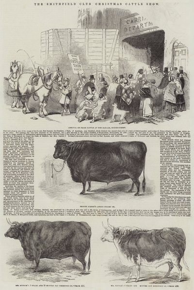 The Smithfield Club Christmas Cattle Show by English School