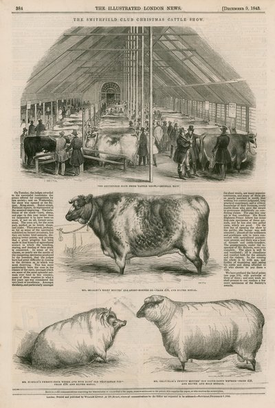 The Smithfield Club Christmas Cattle Show by English School