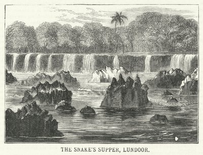 The Snake