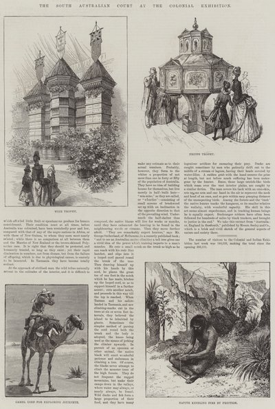 The South Australian Court at the Colonial Exhibition by English School
