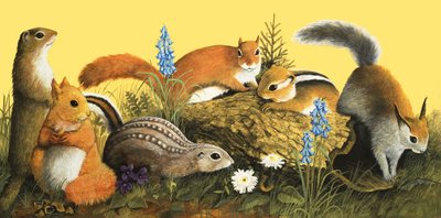 The Squirrel Family, illustration from 