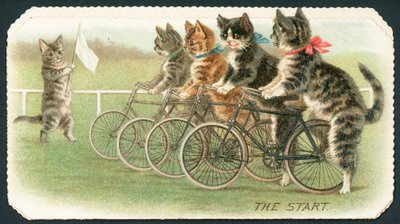 The Start, Cat Cycle Race by English School