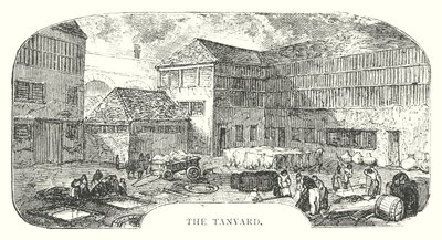 The Tanyard by English School