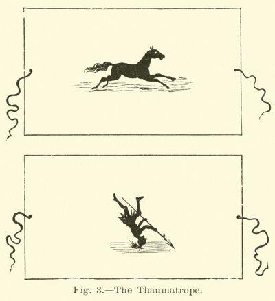 The Thaumatrope by English School