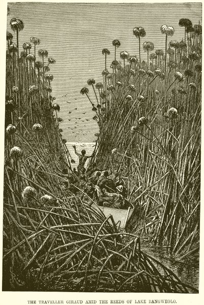 The Traveller Giraud Amid the Reeds of Lake Bangweolo by English School