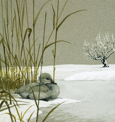 The Ugly Duckling by English School