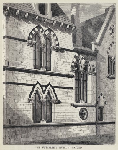 The University Museum, Oxford by English School