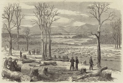 The War in America by English School