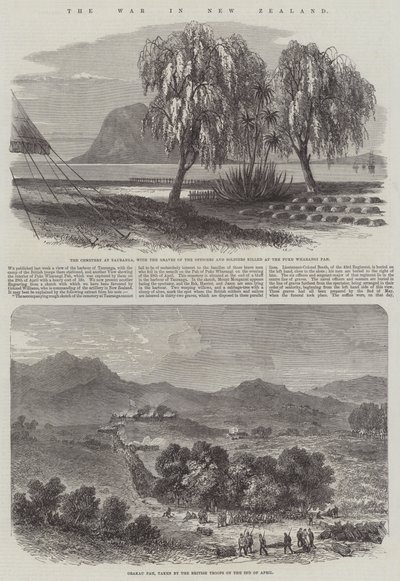The War in New Zealand by English School