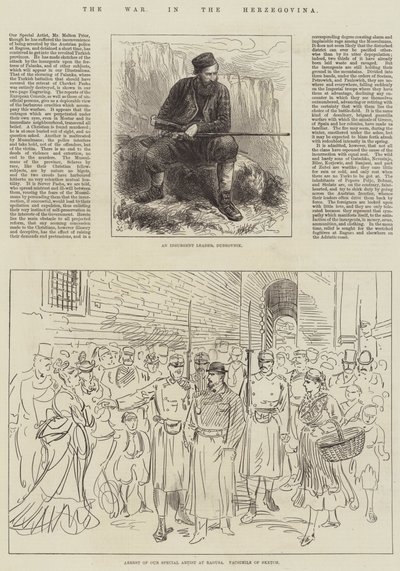 The War in the Herzegovina by English School