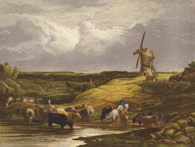 The Windmill by English School
