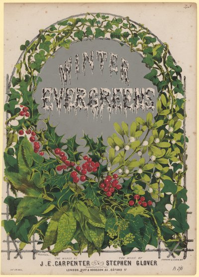The Winter Evergreens by English School