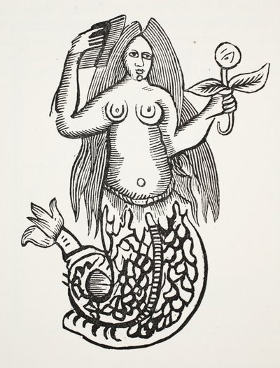 The Wonder of Wonders, illustration from Chap-books of the Eighteenth Century by John Ashton, pub. 1882 by English School