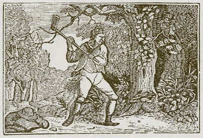 The Wood and the Clown by English School