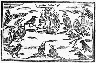 The Woody Choristers or The Birds Harmony, an Illustration from 