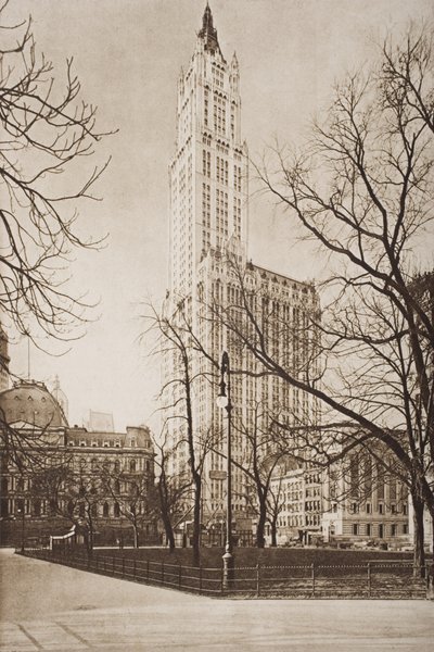 The Woolworth Building, New York, Illustration from 