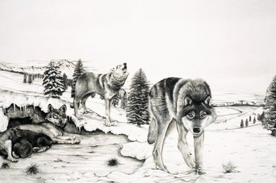 The World of Nature: The 