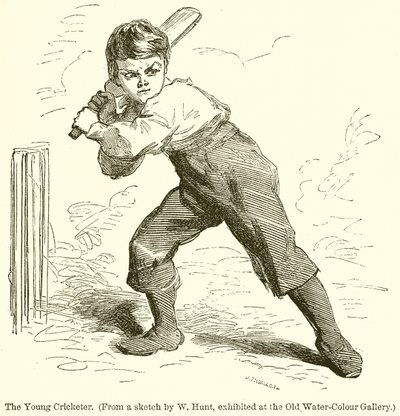 The Young Cricketer by English School