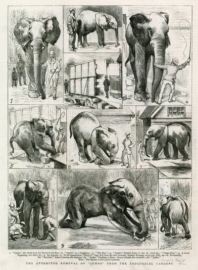 The attempted removal of Jumbo from the Zoological Gardens by English School