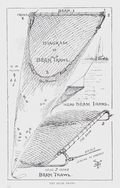 The beam trawl by English School