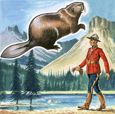 The Beaver, Emblem of Canada by English School