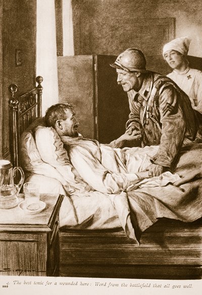 The Best Tonic for a Wounded Soldier: Word from the Battlefield that All Goes Well, 1914-19 by English School