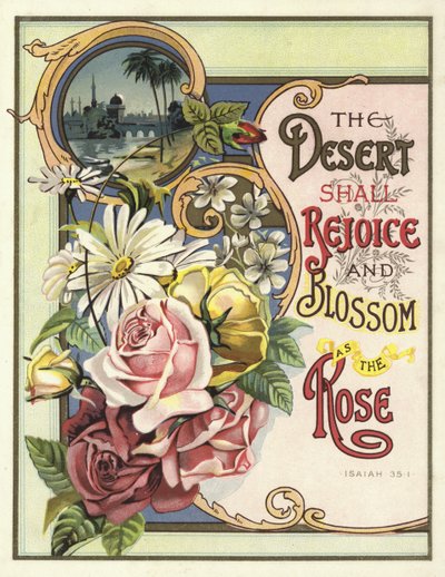 The desert shall rejoice and blossom as the rose by English School