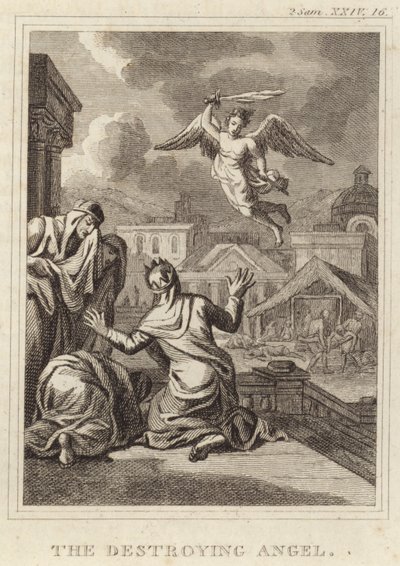 The Destroying Angel by English School