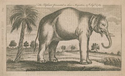The Elephant Presented to Their Majesties by English School