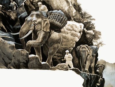 The elephant trek of Elephant Bill by English School