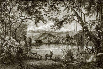The Enchanted Lake in the Philippine Island by English School