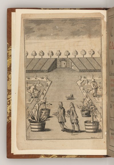 The Frontispiece of The City Gardener by Thomas Fairchild by English School