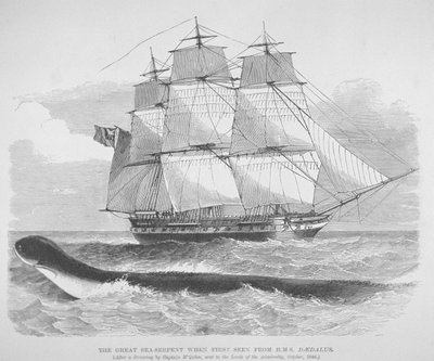 The great sea serpent when first seen from HMS Daedalus in 1848 by English School