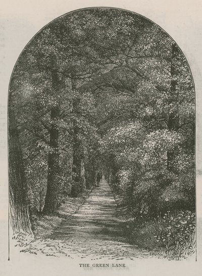 The Green Lane, Holland House by English School