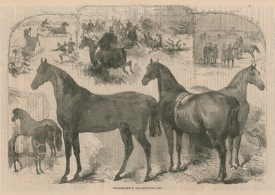 The Horse Show in the Agricultural Hall by English School
