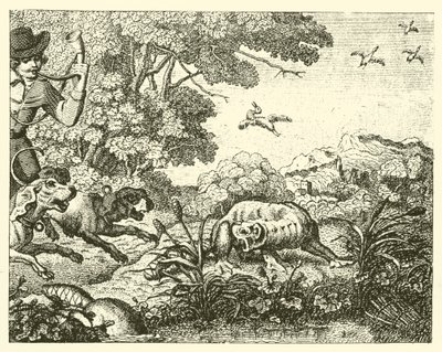 The Hunted Beaver by English School