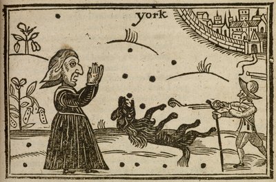 The Killing of Prince Rupert