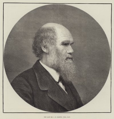 The late Mr C R Darwin, FRS, LLD by English School