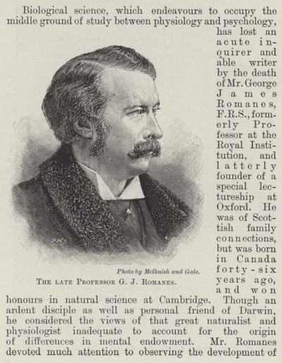 The Late Professor G. J. Romanes by English School