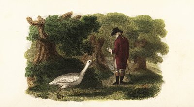 The Male Goose Jacquot and His Human Friend, a French Gentleman by English School