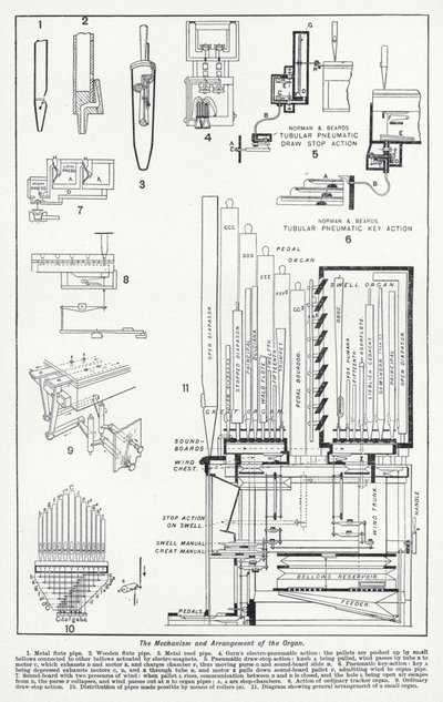 The mechanism and arrangement of the organ by English School