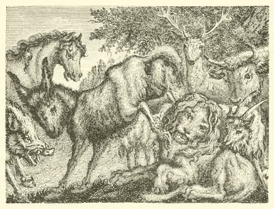 The Old Lion by English School