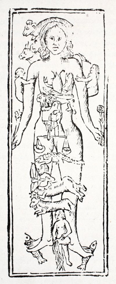 The Parts of the Body Which Control Each Zodiac Sign by English School