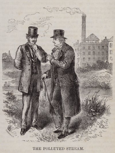 The polluted stream - farmer vs industrialist by English School