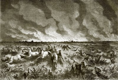 The Prairie on Fire by English School